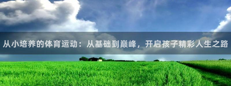 3377体育com