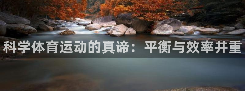 3377体育官网下载