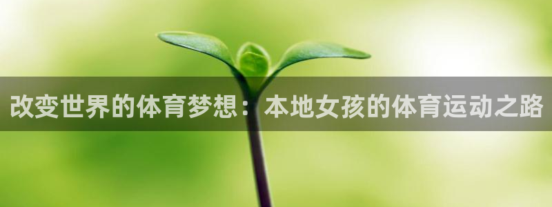 3377体育在线登录官网入口