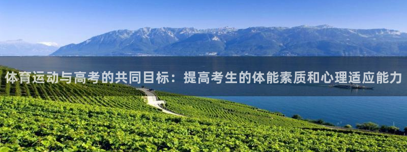 3377体育手机平台