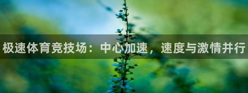 3377体育app下载安装