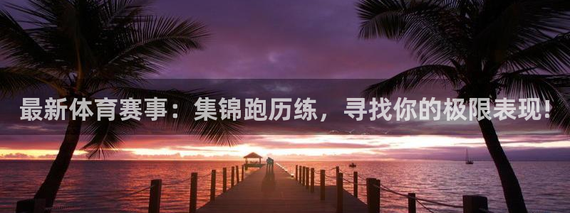 3377体育全网