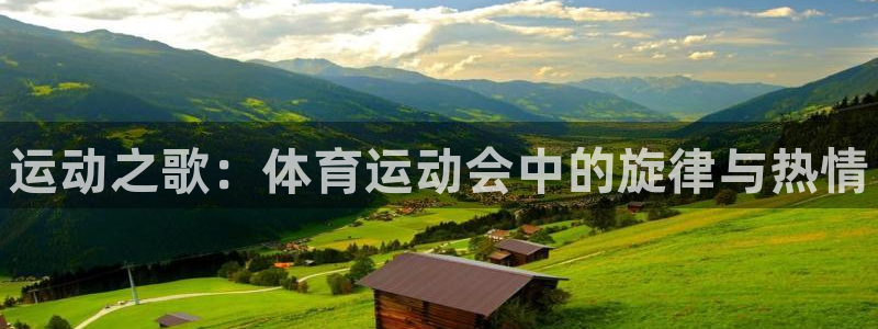3377体育app登录入口