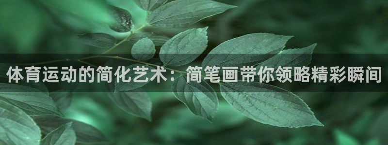 3377体育官网入口下载最新
