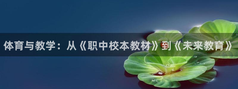 3377体育官网入口网页版