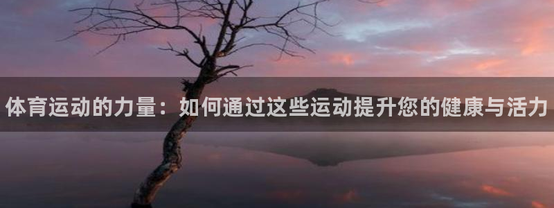 3377体育官网下载