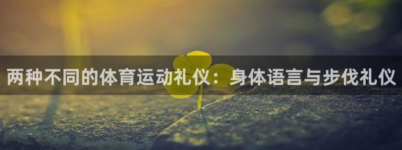 3377体育(中国)官方网站