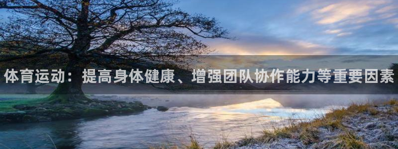 3377体育在线登录官网入口