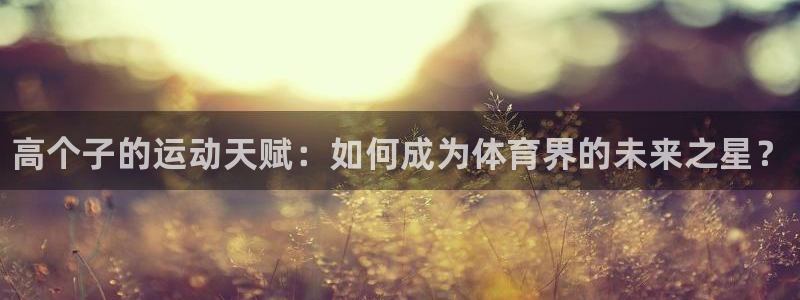 3377体育在线登录官网入口