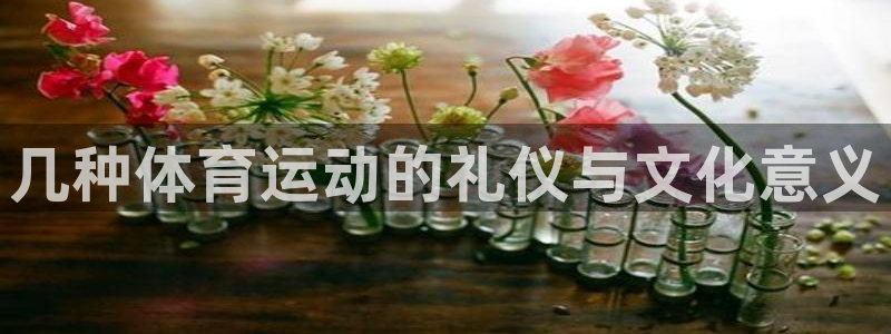 3377体育靠谱吗