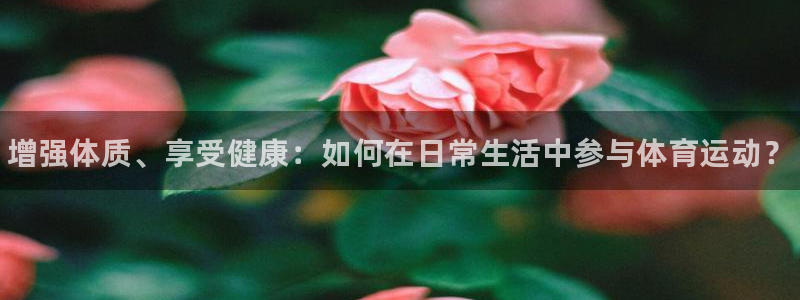 3377体育网页登录入口