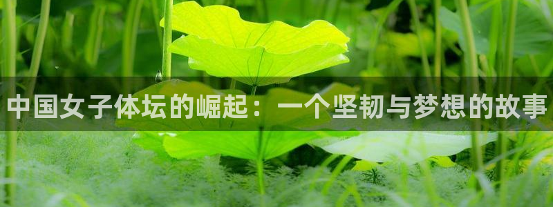 3377体育(中国)官方网站