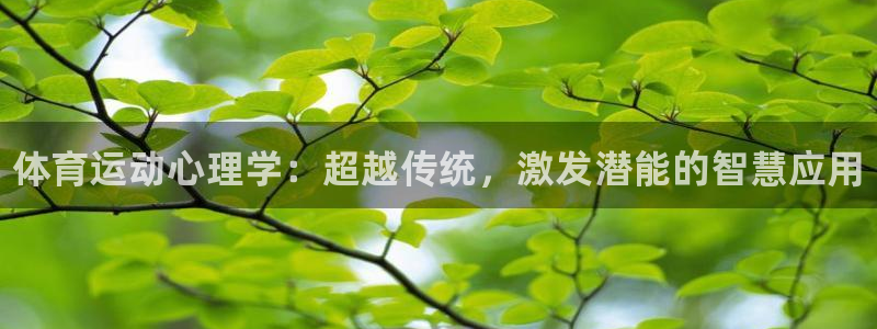3377体育app官方下载