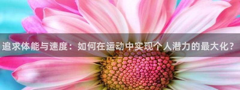 3377体育手机平台
