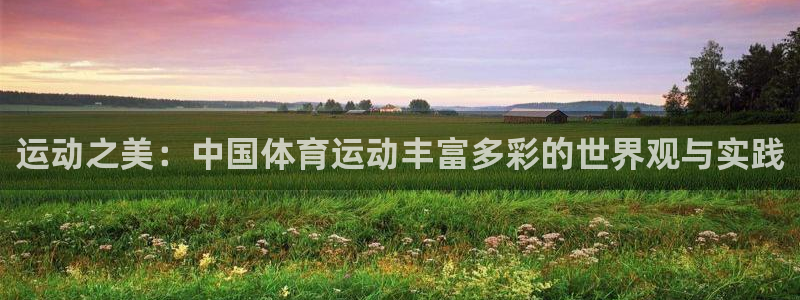 3377体育官网