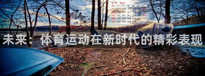3377体育app登录入口