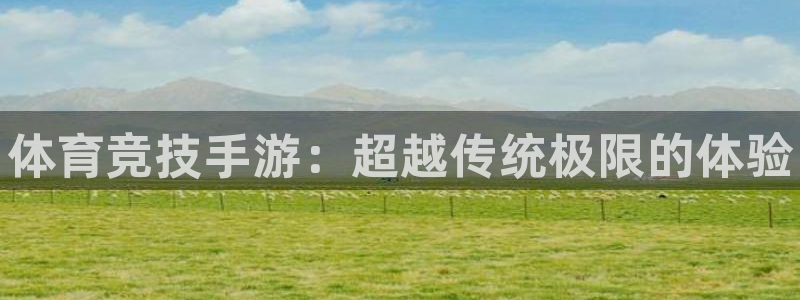 3377体育官网入口网页版