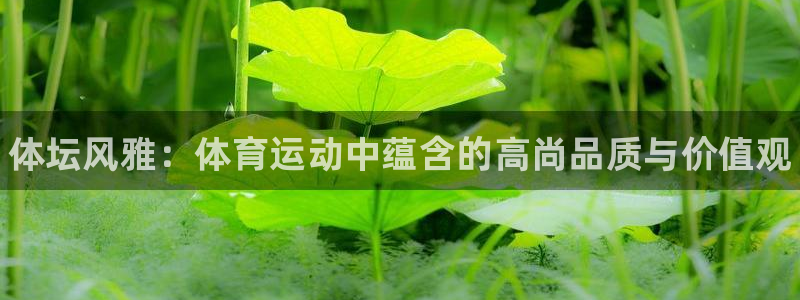 3377体育app官网下载地址