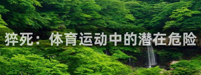 3377体育官网入口下载最新