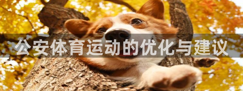 3377体育中国官方网站入口