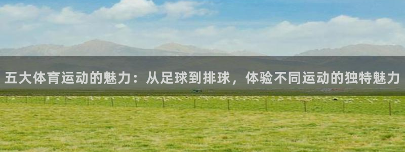 3377体育官方app下载
