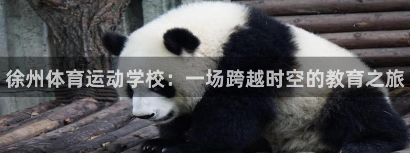 3377体育app官网下载地址