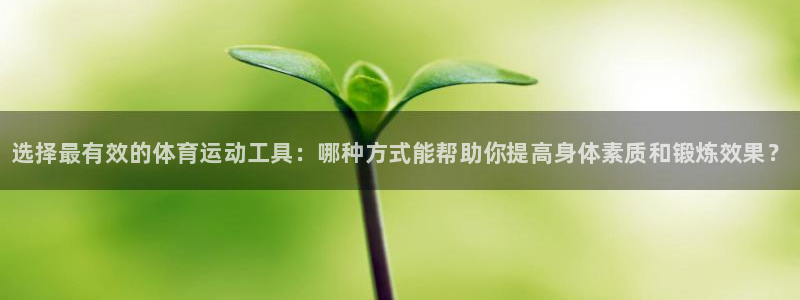 3377体育官网