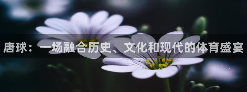 3377体育网页登录入口