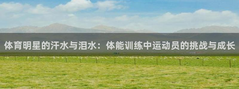 3377体育app登录入口