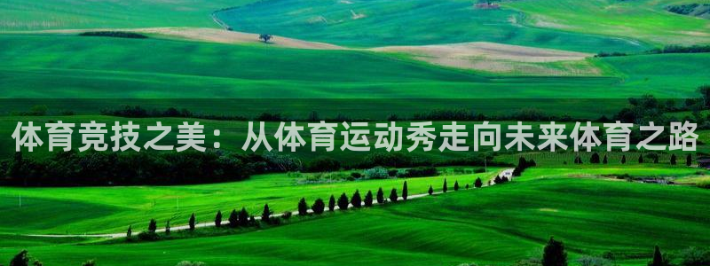 3377体育全网
