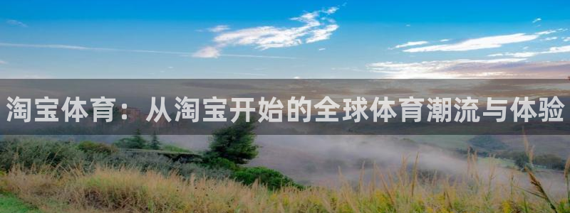 3377体育官网入口网页版
