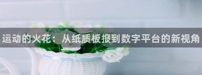 3377体育官网下载