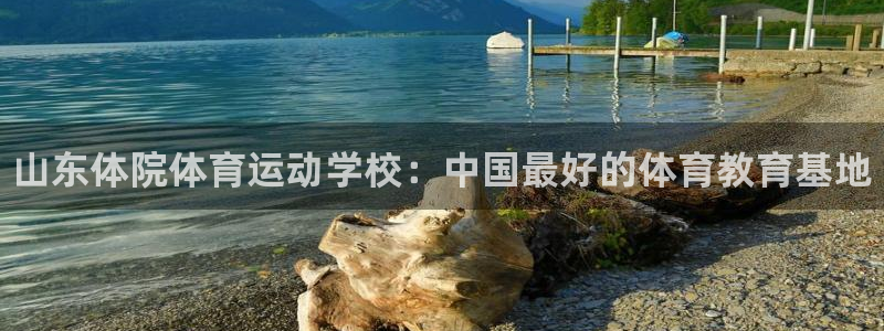 3377体育官网入口下载最新