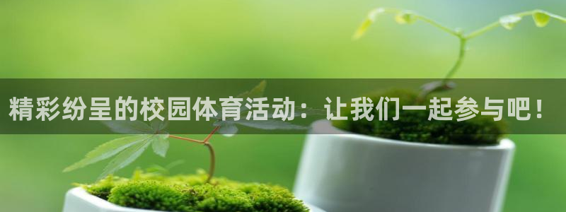 3377体育中国官方网站入口