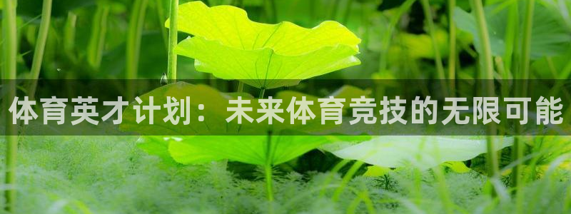 3377体育app官网下载地址