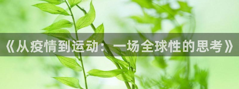 3377体育app下载安装