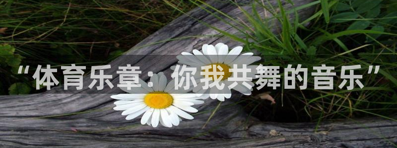 3377体育全网