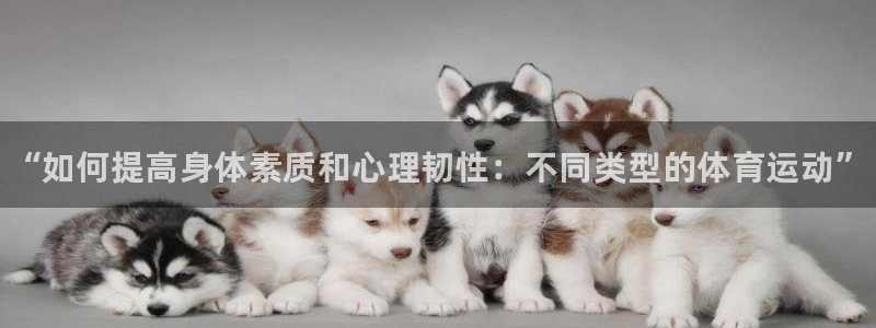 3377体育官网入口下载最新