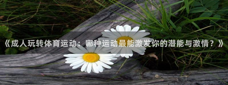 3377体育官方app下载
