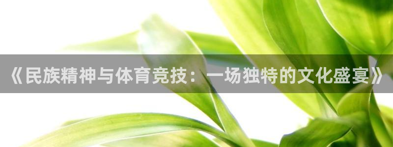 3377体育是正规平台吗