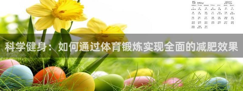 3377体育官网入口网页版