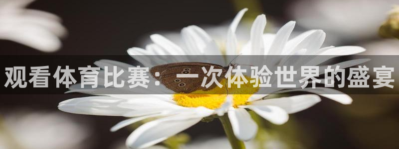 3377体育app官方下载