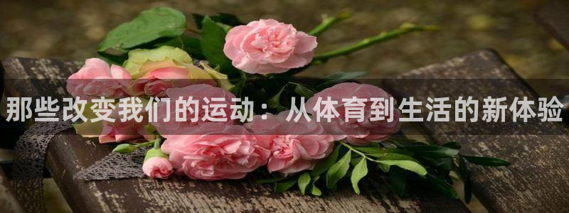 3377体育com