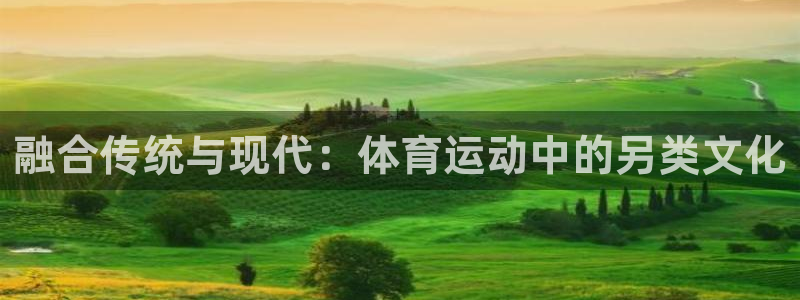 3377体育全网