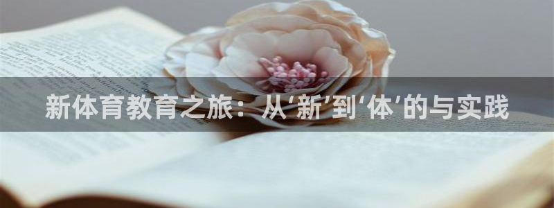 3377体育官网入口网页版