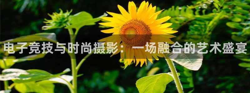 3377体育app登录入口